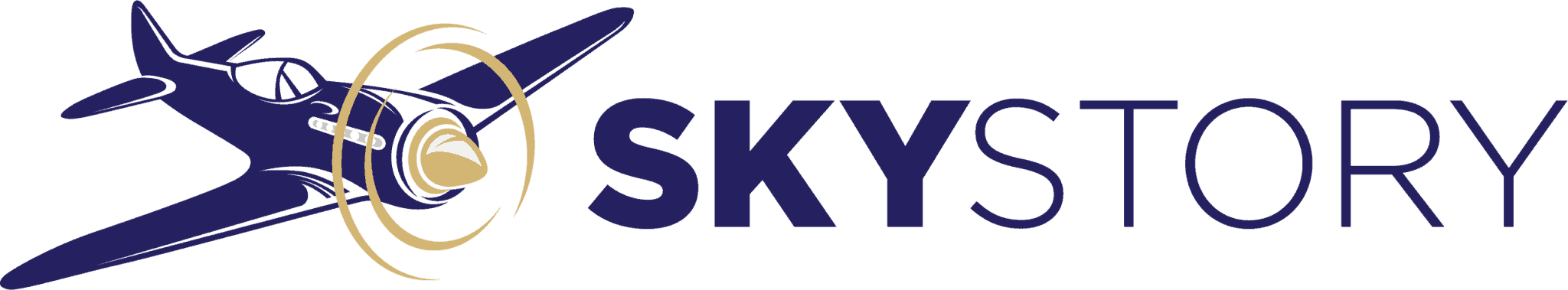 logo skystory